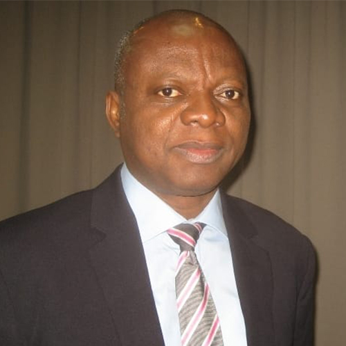 Professor Abel Idowu Olayinka